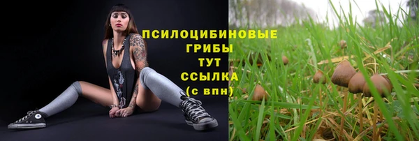 меф Беломорск